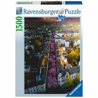 Ravensburger Puzzel Bonn in Bloom 1500 Stukjes