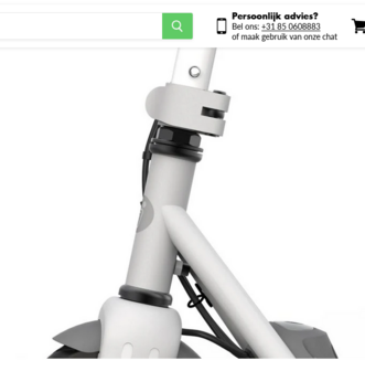 Ninebot C10