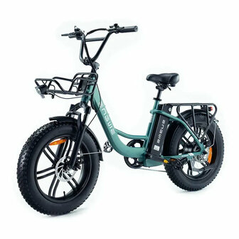 ENGWE L20 Boost - Groen