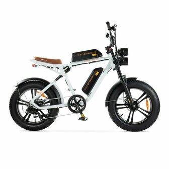 ENGWE M20 - Dubbele Accu - Wit