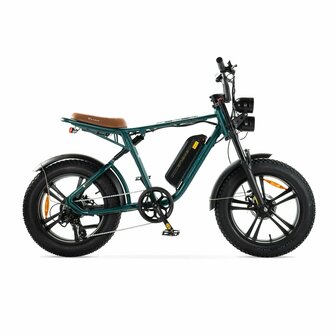 ENGWE M20 - Groen