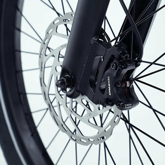 Vogue Wonder - Longtail - Zwart