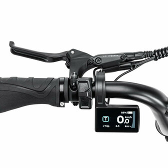 STOER Bikes Urban X - Grijs