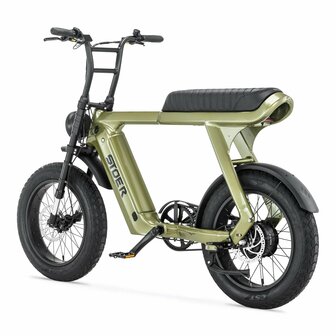 STOER Bikes Urban X - Groen