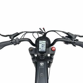 ApeRyder Baboon - Zwart