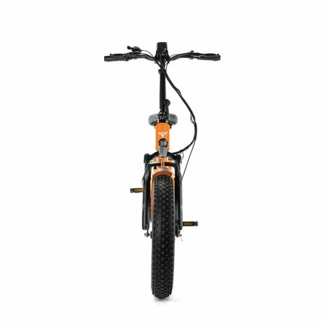 ENGWE EP 2 Boost - Oranje