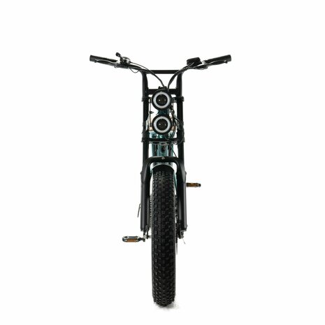 ENGWE M20 - Groen