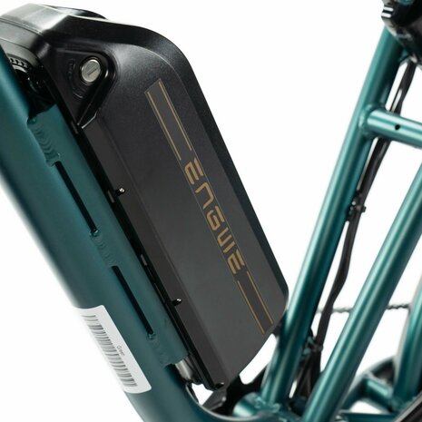 ENGWE M20 - Groen