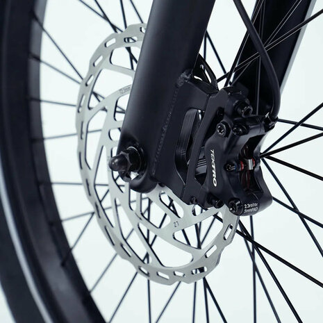 Vogue Wonder - Longtail - Zwart