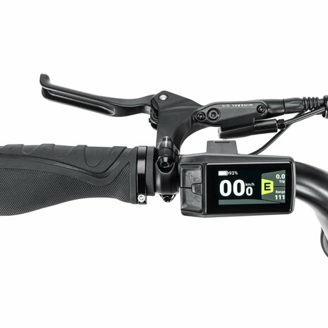 STOER Bikes Urban X - Groen