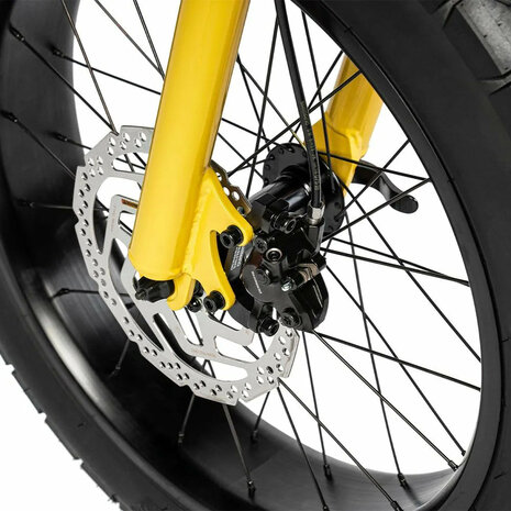 Ruff Cycles Lil'Missy - Baby B