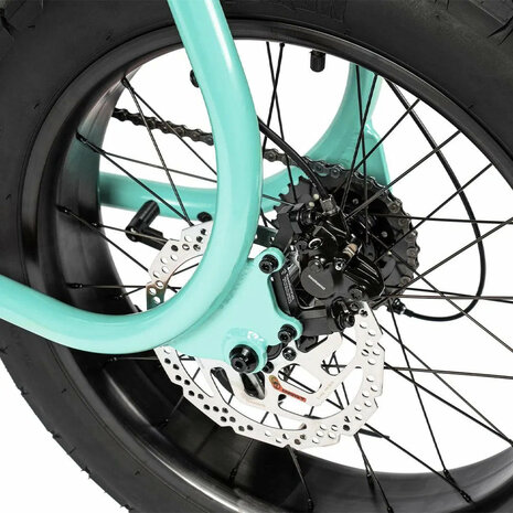 Ruff Cycles Lil'Missy - Holly
