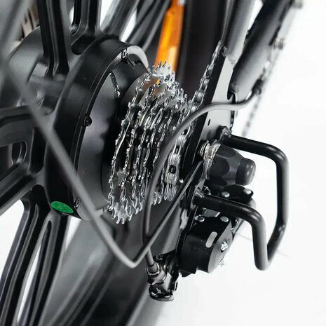 V20 Pro - Donkergrijs