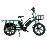JOBOBIKE Transer - Longtail - Groen