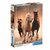 Clementoni High Quality Collection Puzzel Paarden 1000 Stukjes Clementoni High Quality Collection Puzzel Paarden 1000 Stukjes