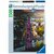 Ravensburger Puzzel Bonn in Bloom 1500 Stukjes