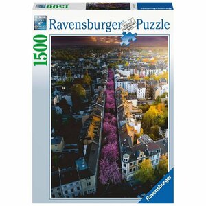 Ravensburger Puzzel Bonn in Bloom 1500 Stukjes