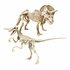 Clementoni Jurassic World Triceratop and Velociraptor Dig Kit_