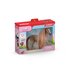 Schleich Horse Club Schoonheidspaard Engelse Thoroughbread Merrie_