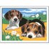 Ravensburger CreArt Schilderen op Nummer Beagle Puppies_