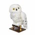 Spin Master Harry Potter Interactive Hedwig_