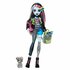 Monster High Frankie Stein_