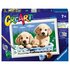 Ravensburger CreArt Schilderen op Nummer Schattige Puppy's_