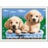 Ravensburger CreArt Schilderen op Nummer Schattige Puppy's_