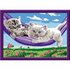 Ravensburger CreArt Schilderen op Nummer Kittens in Hangmat_