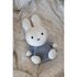 Nijntje Fluffy Knuffel 35 cm Blauw_