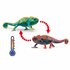 Schleich Wild Life Kameleon_