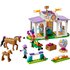 Lego Friends 41746 Paardentraining_