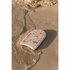 Little Dutch Ocean Dreams Kickboard Roze_