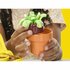 Play-Doh Blooming Flowers_
