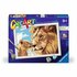 Ravensburger CreArt Schilderen op Nummer Leeuw met Baby_