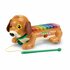 VTech Baby Timmie Teckel Xylofoon + Licht_
