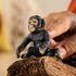 Schleich Wild Life Chimpansee Welp_