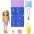 Barbie Chelsea Campeerpop_