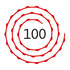 Pistool 100 Schots_