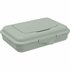 Rotho TILO Tissue Box 16x11x4.4 cm Sage Green_