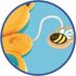 Clementoni Baby Activiteiten Beer Montessori_