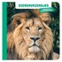 Boek Dieren in de Dierentuin_
