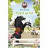 Boek Paard op Hol_