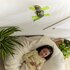 HexBots RC Wall Crawler Gecko_