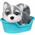 Little Live Pets My Really Real Puppy Mini's  Aurora de Husky + Geluid_