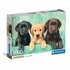 Clementoni High Quality Collection Puzzel Labrador Puppies 1000 Stukjes + Poster_