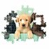 Clementoni High Quality Collection Puzzel Labrador Puppies 1000 Stukjes + Poster_