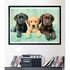 Clementoni High Quality Collection Puzzel Labrador Puppies 1000 Stukjes + Poster_