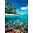 Clementoni High Quality Collection Puzzel Tropisch Paradijs 1000 Stukjes + Poster_