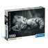 Clementoni High Quality Collection Puzzel Kitten 1000 Stukjes + Poster_